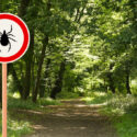 Tick Prevention and Protecting Yourself From Outdoor Plants